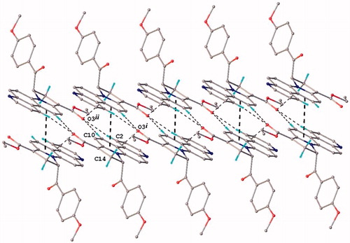 Figure 3. View of supramolecular columnar architecture in the crystal structure of 7a. Only H atoms involved in hydrogen bonding are shown. H-bonds parameters: C10–H⋯O3 [C10–H 0.93 Å, H⋯O3 2.38 Å, C10⋯O3(2 − x, 1 − y, −z) 3.308(4) Å, C10–H⋯O3 175.8 °]; C3–H⋯O3 [C3–H 0.93 Å, H⋯O3 2.49 Å, C3⋯O3(2 − x, 1 − y, −z) 3.419(4) Å, C10–H⋯O3 173.0°]; C14–H⋯O3 [C14–H 0.97 Å, H⋯O3 2.44 Å, C14⋯O3(−1 + x, y, z) 3.299(4) Å, C10–H⋯O3 148.0°].