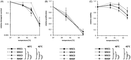 Figure 1. MSCs lose their proliferative ability but remain viable after hyperthermia. (A) Clonogenic survival assays for human MSCs and NHDFs. (B) Proliferation at 96 h after hyperthermia therapy of MSCs and NHDFs. (C) Resazurin assays at 96 h after hyperthermia. *p < 0.05, ***p < 0.001. Data are presented as mean ± standard deviation.
