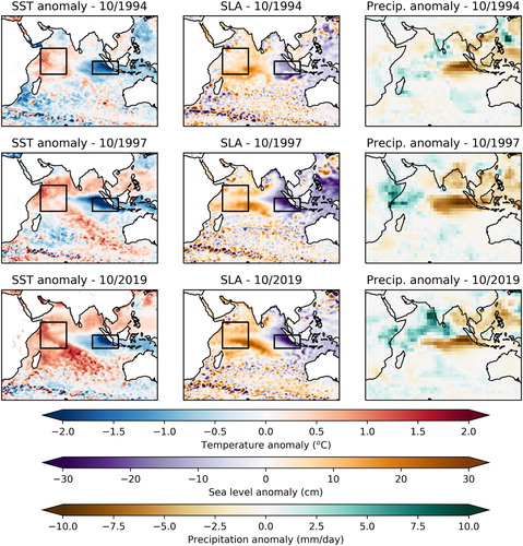 Figure 2.9.3. SST, sea level and precipitation anomalies at the peak of strong IOD events.