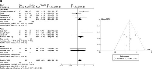 Figure 5 Meta-analysis of the association between CYP1A1 A2455G gene polymorphism and CML risk under three models: (A) recessive, (B) dominant, and (C) allele contrast.
