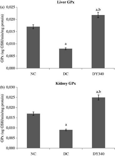 Figure 5. Effect of yacon root flour (340 mg FOS/kg body weight) on glutathione peroxidase (GPx) activity in (a) liver and (b) kidney of normal and STZ-diabetic rats. Data are the mean ± SD. ap < 0.05 compared with non-diabetic control animals; bp < 0.05 compared with diabetic control animals. n = 6 animals per group. NC, non-diabetic control animals; DC, diabetic control animals; DY340, diabetic animals treated with yacon root flour (340 mg FOS/kg body weight).