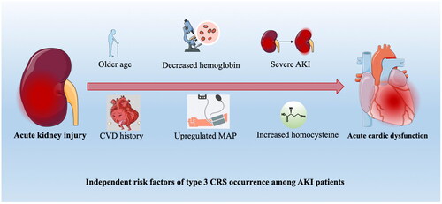Figure 2. Independent risk factors of CRS type 3 occurrence among AKI patients.Abbreviations: AKI, acute kidney injury; CRS cardiorenal syndrome; CVD, :cardiovascular disease; MAP: mean artery pressure.