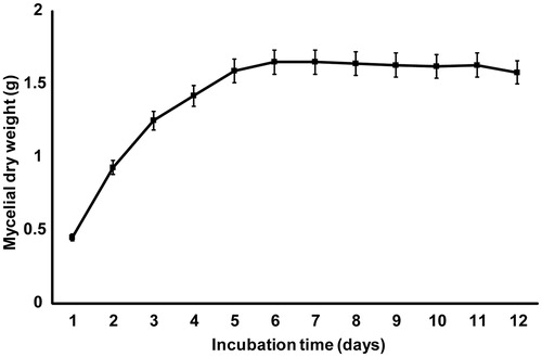 Figure 3. Growth curve of M. fragilis (strain TW5). The error bars represent the standard deviations from the mean value of three flasks.