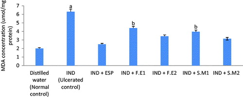Figure 1. Effect of aqueous leaf extracts of S. mombin and F. exasperata on gastric Malondialdehyde (MDA) level of indomethacin ulcerated rats (n = 7, X ± SEM). aSignificantly different from the normal control group (p < 0.05). bSignificantly different from the indomethacin-ulcerated control group (p < 0.05). IND, indomethacin (30 mg/kg b.w.); ESP, esomeprazole (20 mg/kg b.w.); F.E1, Ficus exasperata (100 mg/kg b.w.); F.E2, Ficus exasperata (200 mg/kg b.w.); S.M1, Spondias mombin (100 mg/kg b.w.); S.M2, Spondias mombin (200 mg/kg b.w.).