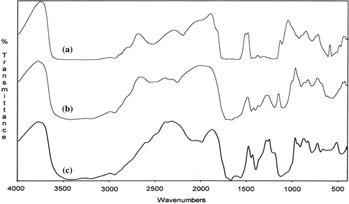 Figure 5. FTIR spectra of poly(MA-alt-AAm)/APTS gel systems with different molar ratios of copolymer (a), and copolymer/APTS = 9/1 (b), 1.4/1 (c).