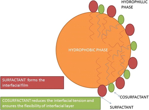 Figure 1. Arrangement of surfactant and cosurfactant at the interfacial film.