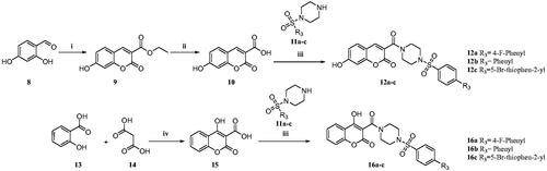 Scheme 2. Reagents and conditions: (i) diethyl malonate, piperidine, glacial acetic acid (Cat.), reflux, 80 °C, 4–6 h, 79% (ii) NaOH, H2O, MeOH, rt.,2 h, 70% (iii) substituted sulphonyl piperazines, EDC.HCl, HOBt, DIPEA, DMF, rt,8–12 h, 60–75% (iv) TFA, 90–100 °C 8 h, 88% Citation27.