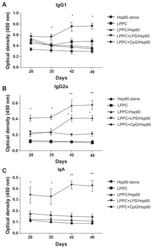 Figure 11 The effects of LPPC in combination with different immunomodulators on the changes in antibody isotypes of mice immunized with Freund’s adjuvant. Mice were immunized with HpHsp60 that was mixed with Freund’s adjuvant and were further treated with LPPC with or without immunomodulators (LPS or CpG ODN). IgG1, IgG2a, or IgA expression was determined every 7 days and the kinetics are shown (in A, B, and C, respectively).Note: A significant difference compared to the Hsp60 alone group is indicated by *P < 0.05 and **P < 0.01.Abbreviations: Ig, immunoglobulin; LPPC, liposome-polyethylene glycol (PEG)-polyethyleneimine (PEI) complex; LPS, lipopolysaccharides.