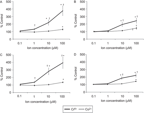 Figure 6.  Total apoptosis in lymphocytes following 24 (upper) and 48 (lower) h of exposure to Cr6+ and Co2+. (A and C) Resting and (B and D) anti-CD3-activated lymphocytes. Results are mean (± SE; n = 6) proportion of lymphocytes expressing annexin V. A value of 100% indicates baseline apoptosis in unexposed control cells. *Significantly different from control values (at p < 0.05) by one-way analysis of variance (ANOVA) followed by Dunnett’s multiple comparison test. †Significantly different from Co2+ values (at p < 0.05) by two-sample t-test.