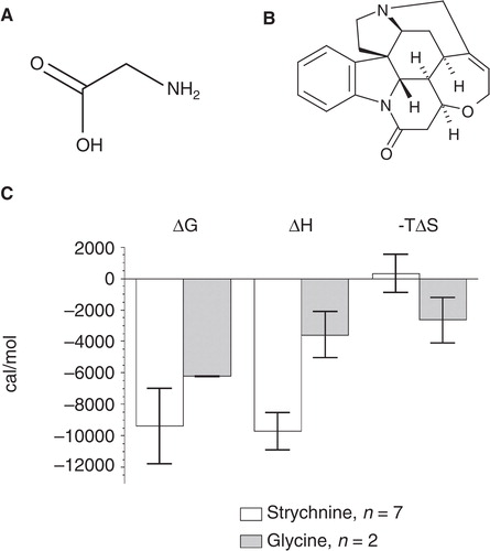 Figure 8. The chemical structures of (A) glycine and (B) strychnine are shown. (C) Thermodynamic parameters of strychnine and glycine binding to GlyR (data from Table III). Strychnine titration is determined by an enthalpic contribution while the interaction of glycine is driven by a large entropic contribution to ΔG.
