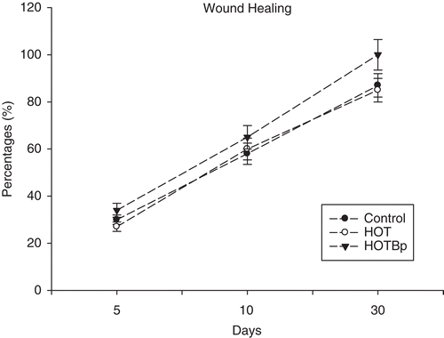 Figure 2.  Wound closure percentages of the control, HOT and HOTBp groups at the 5th, 10th and the 30th days of the experiment.