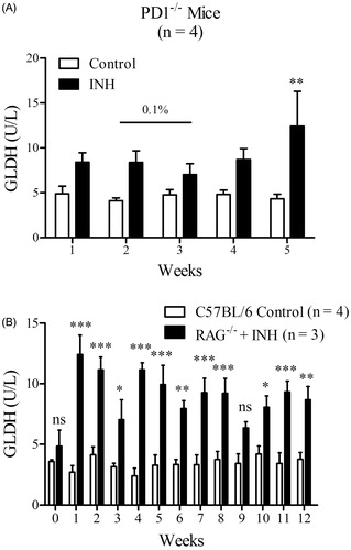 Figure 6. GLDH activity in female PD−/− and Rag−/− mice treated with INH. (A) INH was given at 0.2% [w/w] in food until Week 2 wherein the dose was decreased to 0.1% [w/w] in food for 1 week (until Week 3) because of weight loss. Mice were then put back on 0.2% INH [w/w] from Week 3–5. (B) Female C57BL/6 control or Rag−/− mice were treated with INH at 0.2% [w/w] for up to 12 weeks. Values represent mean (±SE). Analyzed for statistical significance by two-way ANOVA. A p value <0.05 was considered significant (*p < 0.05; **p < 0.01; ***p < 0.001).