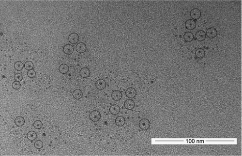 Figure 1 Transmission electron microscopy images of Mn-doped ZnS QDs.Note: Circles indicate Mn-doped ZnS QDs.Abbreviation: QDs, quantum dots.