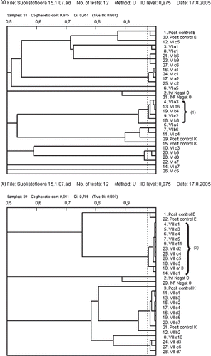 Figure 3. Dendrograms showing phenotypic homologies of the enterobacterial isolates from infants I (a) and III (b) studied by the PhenePlateTM technique (Bactus AB, Huddinge, Sweden) [21,22]. The figures were processed by PhPWIN software (PhPlate AB, Stockholm, Sweden). Isolates were regarded as the same strain when the similarity level was 97.5% or more (marked by a vertical dotted line). (1) Kluyvera ascorbata strain that was isolated from samples taken at the ages of both 3 and 12 months from infant I. (2) Escherichia coli strain that was isolated from samples taken at the ages of both 3 and 12 months from infant III.