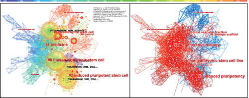 Figure 6. Illustrations of regenerative medicine (2000 – 2014). Left: Landmark nodes (large citation tree rings) and hotspot articles (citation bursts in red rings). Right: New developments (colored in blue) since our 2011 review, for example, #8 cell sheet engineering and #4 biologic scaffold, versus previously identified areas (colored in red).