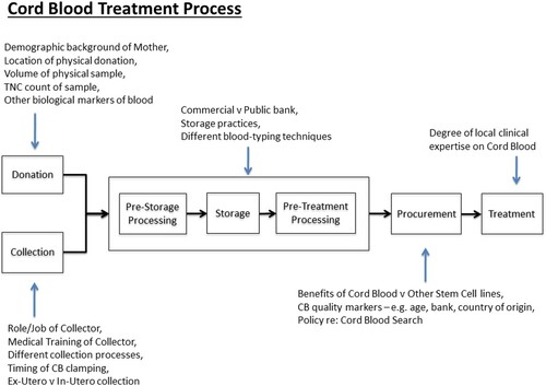 Figure 1. Cord Blood Treatment Process. The Cord Blood Treatment Process that was developed following interviews. A number of factors that contribute to the “systems” uncertainty have been noted for each phase of the process.