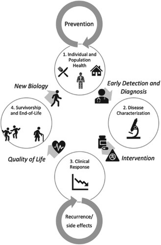 Figure 3. Individual Experience Perspective. 1. Individual and Population Health: An individual is living their life, with a certain genetic background, certain biology, in a certain place, and following certain behaviors. Some may be individual risk factors for cancer, some risks are a function of society and the environment, but all are factors that inform a person’s eventual risk. In this ‘pre-tumor’ phase, interventions focus on prevention, lifestyle behaviors, early detection, and improving determinants at a social level in order to allow individuals to have healthy lives in an equitable, fair and just environment. → Early Detection and Diagnosis→ 2. Disease Characterization: Some individuals may develop symptoms and be diagnosed with a tumor. As a patient, their tumor biology becomes the focus including both the characteristics of the tumor. The tumor’s microenvironment, and the interacting effects of the tumor and the broader characteristics of a patient’s biology (e.g. immune function, microbiome). → Intervention (Therapeutic and Non-therapeutic)→ 3. Clinical Response: Intervention(s) are implemented, targeting the tumor and patient biology. Layered on targeted therapies are non-therapeutic interventions (e.g. lifestyle behaviors, integrative medicine). Here, data on clinical response, resistance, and side-effects. are important to drive clinical decisions. Another factor here is the structural framework that supports patient compliance, access to clinical trials, and continuing care. → Quality of Life→ 4. Survivorship and End-of-life: The patient is on a quest to live a healthy life after cancer treatment, which may include symptom management, palliative care, monitoring/screening, changes in environment and behavior, and integrative medicine. These factors alter the individual biology as the patient re-enters the continuum cycle. This stage also includes accommodations and wellness measures to provide comfort and dignity to individuals at the end of their life. Inherent in discussions between patients and their caregivers is an understanding of the patient’s home and community framework that affect decision-making and adherence to interventions. → New Biology→ back to (1).