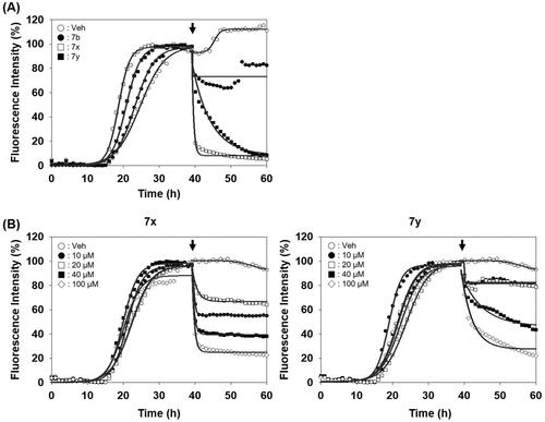 Figure 6. Activity of compounds to disassemble pre-existing aggregates. (A) Disaggregation curves of vehicle, negative control (7b), 7x, and 7y at 100 µM concentration. (B) Dose-dependent curves of 7x and 7y at different concentrations. Arrows indicate the time point of compound treatment. The multiple disaggregation reactions of PAFA products (n = 3) were conducted and the mean of each data point was plotted.