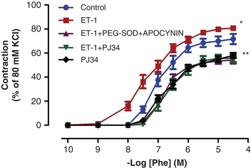 Figure 2. Effects of PEG-SOD plus apocynin, or PJ34 incubation on ET-1-induced vascular hyper-responsiveness to Phe in rat aortic rings. All values are expressed as mean ± standard error of the mean; *p < 0.05 as compared with controls; **p < 0.05 as compared with ET-1-incubated rings; n = 10 for all groups.