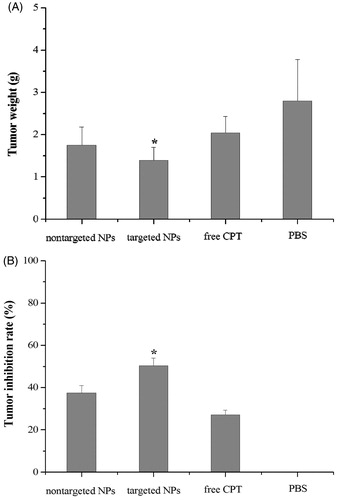 Figure 5. In vivo antitumor effect of CPT in either targeted or non-targeted CPT NPs in H22-bearing mice. Tumor weight (A) and tumor inhibition rate (B). *p < 0.05 compared to the free CPT group.