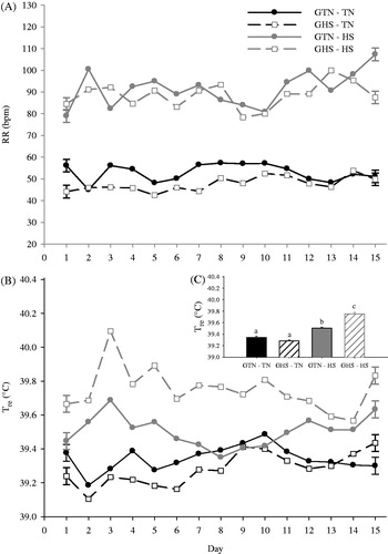 Figure 1. Effects of gestational and adolescent thermal environments on the temporal changes in (A) respiration rate (RR), (B) rectal temperature (Tre), and (C) Tre averaged by gestational and adolescent environment in growing pigs. Gestational heat stress (GHS), gestational thermal neutral (GTN), adolescent thermal neutral conditions (TN), adolescent heat stress conditions (HS). Error bars on day 1 and day 15 of the line indicate ±1 SEM. Different letters (a,b,c) above vertical bars in 1C indicate significant differences (p < 0.05).