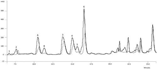 Figure 1. Derivatized fraction 3 of infusion and standard amino acids + fraction 3 overlapped chromatograms by using SS1. 1. Asp (RT = 7.13), 2. Glu (RT = 7.85), 3. Thr (RT = 14.20), 4. Ala (RT = 15.26), 5. Pro (RT = 15.79), 6. Arg (RT = 16.77), A = Ser + Asn, B = Gly + Gln.
