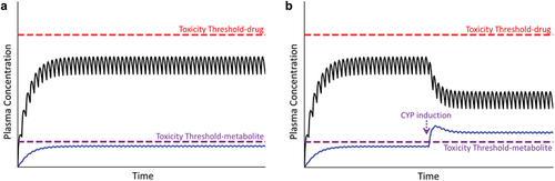 Figure 5. Plasma concentration of parent drug and its metabolite over time. Toxicity thresholds are shown for both parent compound (red dashed line) and metabolite (violet dashed line). Panel A represents the desired therapeutic condition in which the plasma concentration of parent drug as well as its metabolite(s) (blue line) remain below their respective toxicity thresholds. Panel B represents the condition in which the concentration of the metabolite exceeds its toxicity threshold, in this case due to induction of CYP during maintenance therapy, prompting an adverse reaction.