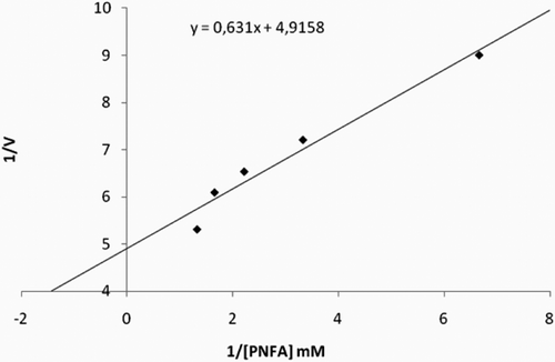 Figure 2.  Lineweaver–Burk curves for 4-NPA hydrolysis catalyzed by sheep CA IV enzyme, at five different concentrations of substrate.