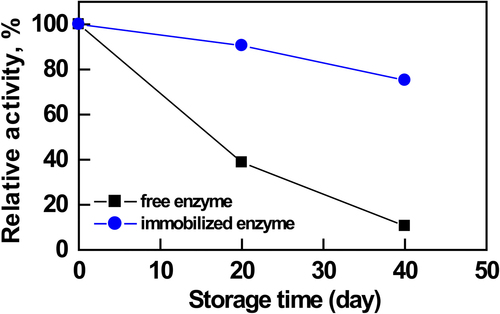 Figure 7. Storage stability of free and immobilized AChE activity.