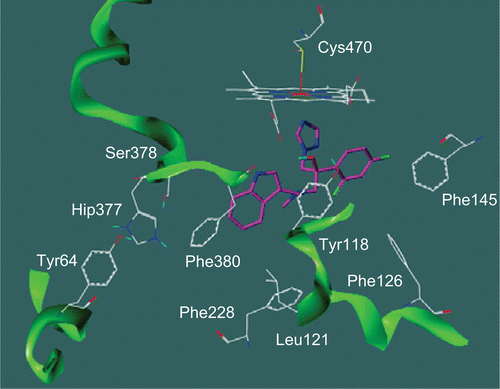 Figure 2.  Proposed binding solution of compound (S)-6b (magenta) in the supposed active site pocket (channel 2) of CYP51-Candida albicans. Hip377 is the protonated form of histidine residue.