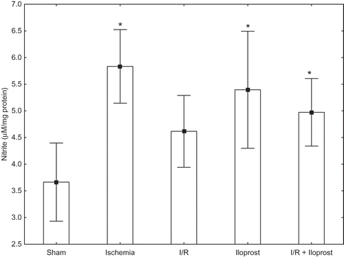 Figure 3. Effects of iloprost on nitrite levels in kidney as a distant organ. Values are expressed as means ± SEM.Note: p < 0.05 was considered to be significant. *Significantly different from sham.