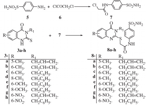 Scheme 2. Synthesis of substituted sulfa derivative 7 and 2,3,5,6 and/or 8-substituted-4-oxoquinazoline derivatives 8a–h.