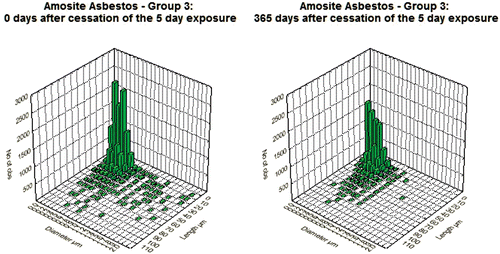 Figure 4.  Bivariate length and diameter distribution of fibers in the amosite-exposed lungs, respectively, immediately after cessation of exposure (day 0) and at 365 days after cessation of exposure.