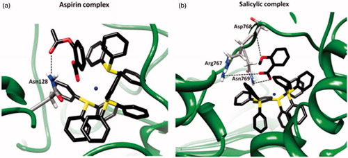 Figure 10. Hydrogen bonds between Ag complex and residues in binding cavity of LOX-1 for (a) the aspirin complex and (b) the salicylic complex. Interactions are represented by dotted lines, and involve oxygen atoms (red) in the aspirin/salicylic moiety of Ag complex. Ag(I) and P atoms are shown in blue and yellow, respectively; for simplicity, the hydrogen atoms of Ag complex are not shown.