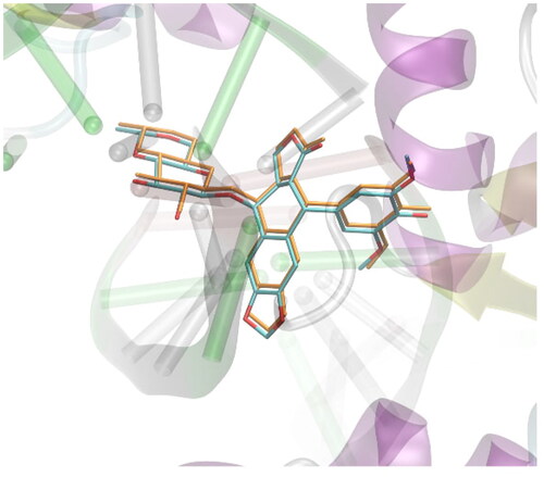 Figure 4. Validation of the docking procedure. The comparison of the position of the ligand present in the crystal structure of protein deposited in PDB:3qx3 (colored by atom type) and the position predicted during docking simulations (colored in orange). Hydrogen atoms are omitted.