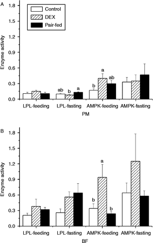 Figure 4.  Effect of vehicle (control), dexamethasone (DEX, daily subcutaneous injection of 2 mg/kg body weight for 3 days) or vehicle and pair-feeding (pair-fed) on the activity of LPL (U/mg protein) and AMPK (10 CPM/ng protein) in PM (A) and BF (B) from broiler chickens during feeding or fasting. CPM, count per minute. Values are means ± SE (n = 8). Different superscripts (a,b) indicate significant differences (P < 0.05) in the means, by ANOVA and Duncan's multiple test.