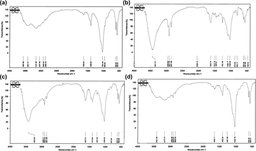 Figure 1. Fourier transform infrared spectroscopy (a) structure of HA, (b) HA/chitosan–albumin nanocomposite, (c) HA/alginate–albumin nanocomposite, and (d) HA/albumin nanocomposite.