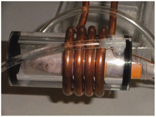 Figure 3. Picture of the 4-turn solenoid coil, water jacket and mouse chamber with anaesthetised mouse inside.