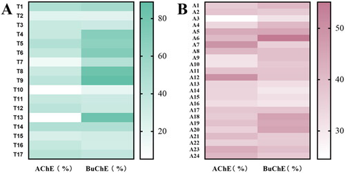 Figure 2. Potency and selectivity profile of inhibitory activity of compounds T1–T17 (A) and amines A1–A24 (B) against AChE and BuChE.