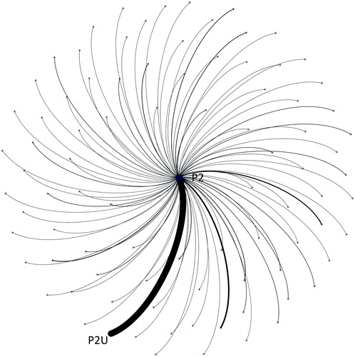 Figure 2. P2 Gephi visualisation. Key: P2 = participant 2 node; P2U = undirected tweets from the participant's handle to all followers (not mentioning any other profiles).