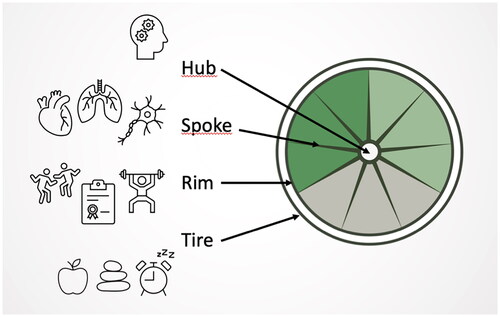 Figure 3. The OMAwheel™ as a pedagogical tool showing an individual’s prerequisites, limitations, and strengths, thereby potentially supporting and guiding the individual towards sustainable human movements, increased self-care responsibility, and ‘sustainable health’.