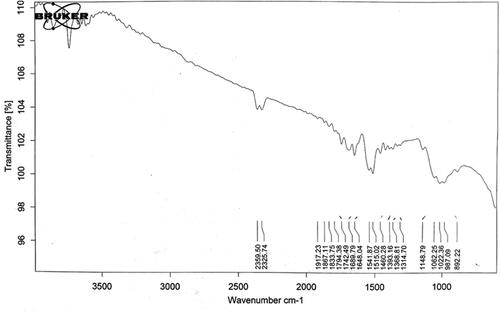 Figure 4 IR spectra of chitosan.