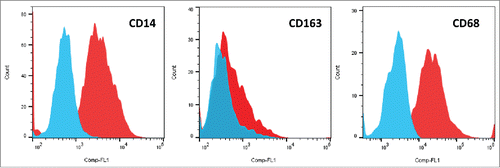 Figure 2. Flow cytometry of cell surface markers of CTC-primed macrophages. Typical experiments showing expression of CD14, CD163 and CD68 in indirect immunofluorescence staining experiments.