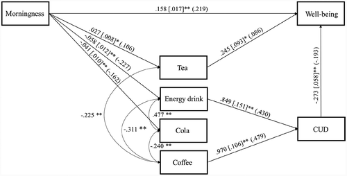 Figure 1. Path analysis for the association of morningness, coffee, tea, energy drink, and cola consumption, caffeine use disorder (CUD) and wellbeing.Note: Unstandardized regression coefficients, their standard errors (in brackets) and standardized coefficients (in parentheses) are presented in the figure. There are no standard errors and level of significance for standardized regression coefficients for WLSMW estimation. Those standardized regression coefficients are presented in the figure which are associated with significant unstandardized regression coefficients.*p < .01, **p < .001