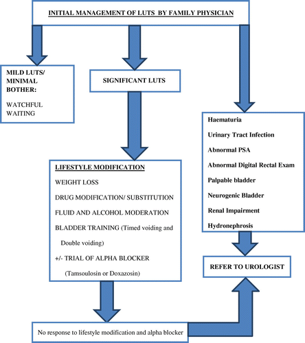 Figure 1: Algorithm for initial management of LUTS