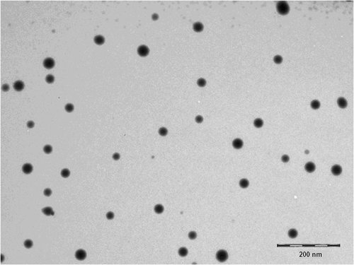 Figure 4. Micrograph of carvedilol nanoemulsion under transmission electron microscope (TEM).