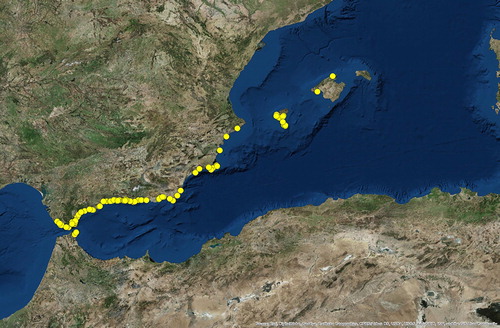 Figure 3.3.2. Locations of all the sightings of Physalia physalis colonies in the Western Mediterranean Sea during April 2018 (Product Ref. No. 3.3.3).