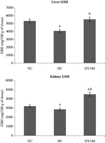 Figure 6. Effect of yacon root flour (340 mg FOS/kg body weight) on reduced glutathione (GSH) concentration in (a) liver and (b) kidney of normal and STZ-diabetic rats. Data are mean ± SD. ap < 0.05 compared with non-diabetic control animals; bp < 0.05 compared with diabetic control animals. n = 6 animals per group. NC, non-diabetic control animals; DC, diabetic control animals; DY340, diabetic animals treated with yacon root flour (340 mg FOS/kg body weight).