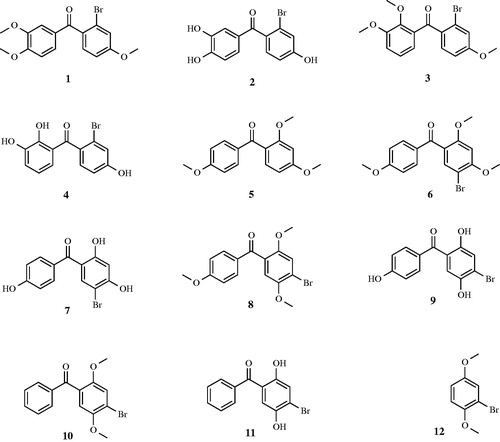 Figure 1. The chemical structure of bromophenol derivatives (1–12).