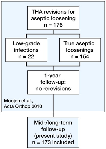 Figure 1. Study design. In the previous study, 176 patients with an aseptic loosening of their total hip prosthesis were included. After additional analysis, 22 patients were believed to have a low-grade infection. After a 1-year follow-up, no additional re-revisions were seen in those patients. The present study included 173 patients from the initial study.